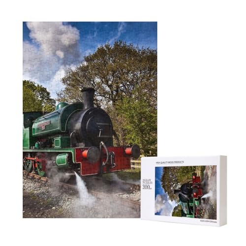 300 Teile Puzzle Holzpuzzle Spielzeug Familienspiel für Erwachsene Jugendliche,Dampflokomotive 300 Teile Puzzle Holzpuzzle Spielzeug Familienspiel für Erwachsene Jugendliche,Dampflokomotive von Hdhfjks