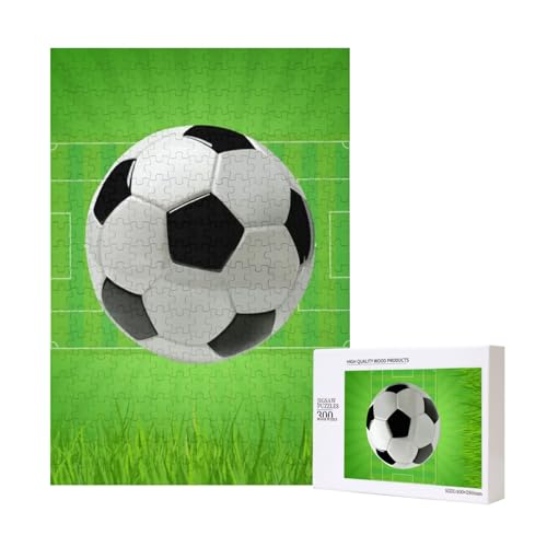 300 Teile Puzzle Holzpuzzle Spielzeug Familienspiel für Erwachsene Jugendliche,Fußballplatz 300 Teile Puzzle Holzpuzzle Spielzeug Familienspiel für Erwachsene Jugendliche,Fußballplatz von Hdhfjks