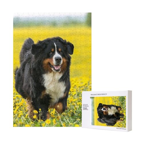 300 Teile Puzzle Holzpuzzle Spielzeug Familienspiel für Erwachsene Jugendliche,Glücklicher Berner Sennenhund 300 Teile Puzzle Holzpuzzle Spielzeug Familienspiel für Erwachsene Jugendliche,Glücklicher Berner Sennenhund von Hdhfjks