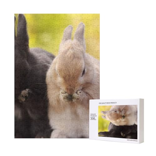 300 Teile Puzzle Holzpuzzle Spielzeug Familienspiel für Erwachsene Jugendliche,Kaninchen Fluffy 300 Teile Puzzle Holzpuzzle Spielzeug Familienspiel für Erwachsene Jugendliche,Kaninchen Fluffy von Hdhfjks