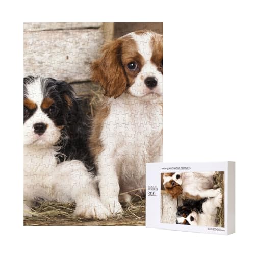 300 Teile Puzzle Holzpuzzle Spielzeug Familienspiel für Erwachsene Jugendliche,Kleine Welpen des Cavalier King Charles Spaniel 300 Teile Puzzle Holzpuzzle Spielzeug Familienspiel für Erwachsene Jugendliche,Kleine Welpen des Cavalier King Charles Spaniel von Hdhfjks