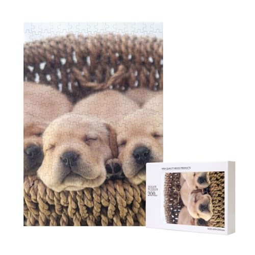 300 Teile Puzzle Holzpuzzle Spielzeug Familienspiel für Erwachsene Jugendliche,Labradors Kleine Welpen Golden Retriever 300 Teile Puzzle Holzpuzzle Spielzeug Familienspiel für Erwachsene Jugendliche,Labradors Kleine Welpen Golden Retriever von Hdhfjks