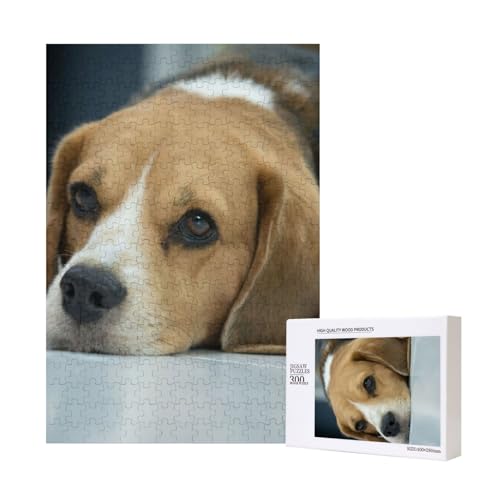 300 Teile Puzzle Holzpuzzle Spielzeug Familienspiel für Erwachsene Jugendliche,Niedlicher Beagle-Hund liegt auf dem Boden von Hdhfjks