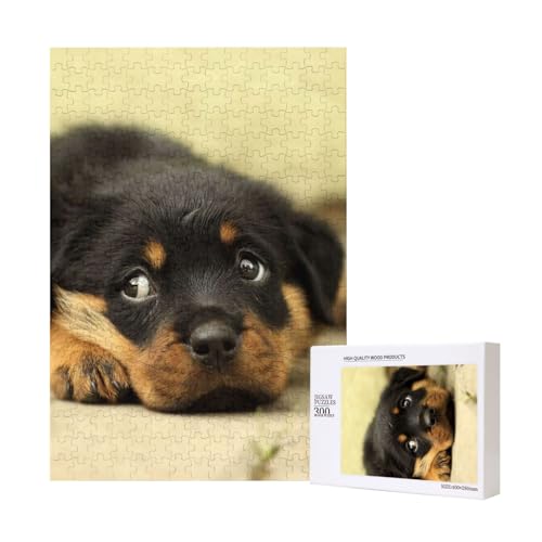 300 Teile Puzzle Holzpuzzle Spielzeug Familienspiel für Erwachsene Jugendliche,Rottweiler Hunde Süße Hunde Welpen Haustiere Klein 300 Teile Puzzle Holzpuzzle Spielzeug Familienspiel für Erwachsene Jugendliche,Rottweiler Hunde Süße Hunde Welpen Haustiere Klein von Hdhfjks
