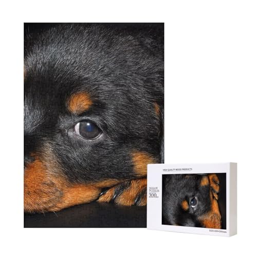 300 Teile Puzzle Holzpuzzle Spielzeug Familienspiel für Erwachsene Jugendliche,Rottweiler Welpen Haustiere Kleine Rottweiler Hunde 300 Teile Puzzle Holzpuzzle Spielzeug Familienspiel für Erwachsene Jugendliche,Rottweiler Welpen Haustiere Kleine Rottweiler Hunde von Hdhfjks