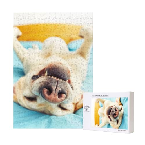 300 Teile Puzzle Holzpuzzle Spielzeug Familienspiel für Erwachsene Jugendliche,Schlafender Labrador 300 Teile Puzzle Holzpuzzle Spielzeug Familienspiel für Erwachsene Jugendliche,Schlafender Labrador von Hdhfjks