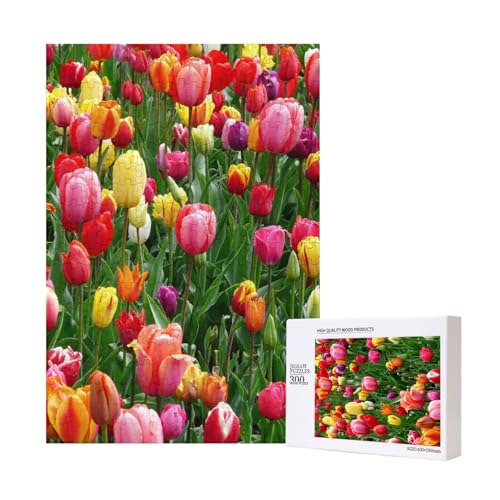 300 Teile Puzzle Holzpuzzle Spielzeug Familienspiel für Erwachsene Jugendliche,Tulpen 300 Teile Puzzle Holzpuzzle Spielzeug Familienspiel für Erwachsene Jugendliche,Tulpen von Hdhfjks