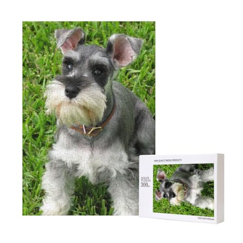 300 Teile Puzzle Holzpuzzle Spielzeug Familienspiel für Erwachsene Jugendliche,Zwergschnauzer 300 Teile Puzzle Holzpuzzle Spielzeug Familienspiel für Erwachsene Jugendliche,Zwergschnauzer von Hdhfjks