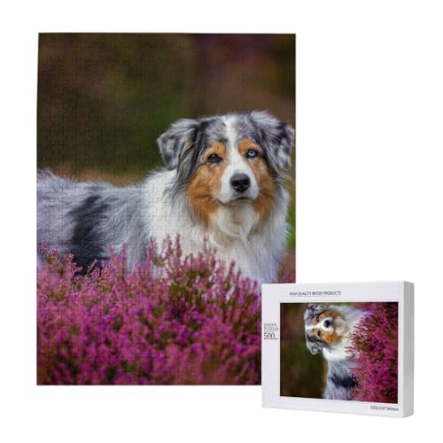 500 Pieces Jigsaw Puzzles Wooden Jigsaw Toy Family Game for Adults Teens,Australischer Schäferhund 500 Pieces Jigsaw Puzzles Wooden Jigsaw Toy Family Game for Adults Teens,Australischer Schäferhund von Hdhfjks