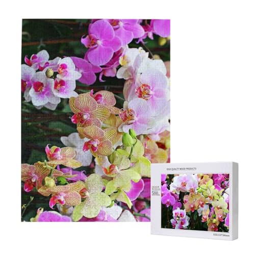 500 Pieces Jigsaw Puzzles Wooden Jigsaw Toy Family Game for Adults Teens,Orchideen gedruckt 500 Pieces Jigsaw Puzzles Wooden Jigsaw Toy Family Game for Adults Teens,Orchideen gedruckt von Hdhfjks