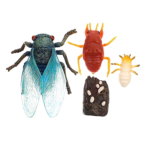 Healifty 1 Satz Cicada Wachstumszyklus Modell Lernspielzeug für Realistische Simulation Fördert Kreativität und Naturerkundung für Spielzimmer und Geburtstagsgeschenke Healifty 1 Satz Cicada Wachstumszyklus Modell Lernspielzeug für Realistische Simulation Fördert Kreativität und Naturerkundung für Spielzimmer und Geburtstagsgeschenke von Healifty