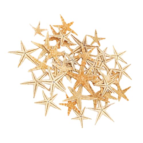 Healifty 1 Schachtel Mini Seestern Ornamente aus Zement mit Strass Beige für DIY Landschaftsdekoration Kunsthandwerk Aquarium und Heimdekoration Langlebig und Vielseitig von Healifty