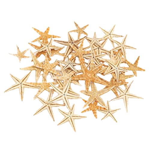Healifty 1 Schachtel Miniatur Meerestern Ornamente Verschiedenen für DIY Kunsthandwerk Puppenhaus und Landschaftsdekoration Beige Langlebig und Farbecht Healifty 1 Schachtel Miniatur Meerestern Ornamente Verschiedenen für DIY Kunsthandwerk Puppenhaus und Landschaftsdekoration Beige Langlebig und Farbecht von Healifty