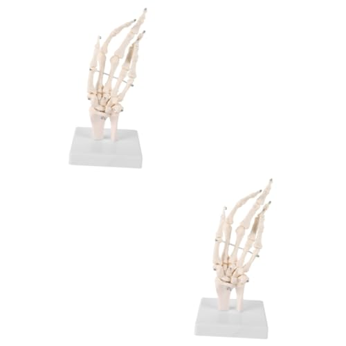 Healifty 2St Handknochengelenkmodell Skelettmaske Mini-Skelettfiguren Augapfel-Modell Hände Medizinisches Handknochenmodell Menschliches Skelettmodell Labs-Modellbasis Labor-Tool PVC Weiß Healifty 2St Handknochengelenkmodell Skelettmaske Mini-Skelettfiguren Augapfel-Modell Hände Medizinisches Handknochenmodell Menschliches Skelettmodell Labs-Modellbasis Labor-Tool PVC Weiß von Healifty