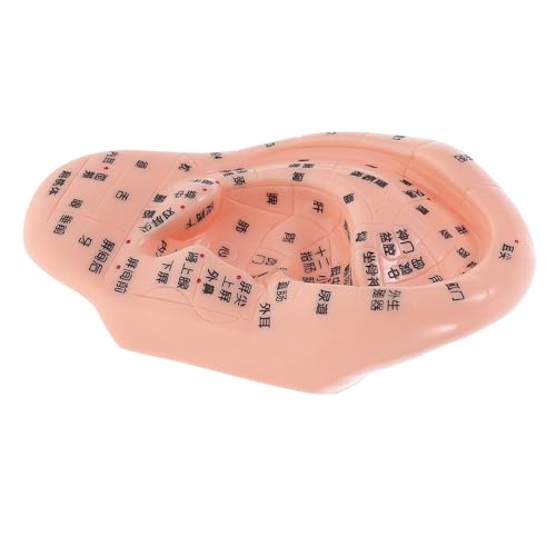 Healifty Ohr Akupunkturmodell Präzises Ohr Akupunktur Punkt Simulationsmodell für Massage und Reflexologie Training für Tcm Ausbildung und Schulung Vielseitig Einsetzbar Wellness Studios Healifty Ohr Akupunkturmodell Präzises Ohr Akupunktur Punkt Simulationsmodell für Massage und Reflexologie Training für Tcm Ausbildung und Schulung Vielseitig Einsetzbar Wellness Studios von Healifty