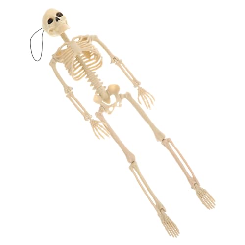 Healvian 3 Stk Halloween-Skelett Gruseliges Halloween Kunststoff-Skelettstütze Ornament Dekor Plastikskelett lustiges Skelettmodell ganzer Körper schmücken kleiner Schädel Requisiten Metall von Healvian