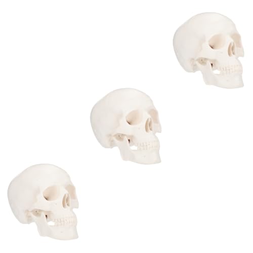 Healvian 3 Stk Schädel Büro-schreibtischdekorationen Geisterdekor Gruseliges Halloween-dekor Bücherregal-dekor Halloween-skelette Halloween-skelettkopf Abnehmbar Weiß Plastik von Healvian