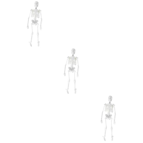 Healvian 3St Statue des menschlichen Skeletts Anatomisches Studienmodell Modell des menschlichen Körpers Anatomiemodell Modelle menschliches Skelettmodell abnehmbar Schulmaterial von Healvian