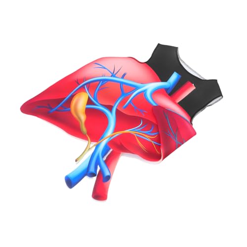 Healvian Herz Kostüm Halloween Cosplay Bodysuit Lernkostüm Organ Outfit Bühnenperformance Party Verkleidung Pädagogisch Pflegeleicht Healvian Herz Kostüm Halloween Cosplay Bodysuit Lernkostüm Organ Outfit Bühnenperformance Party Verkleidung Pädagogisch Pflegeleicht von Healvian