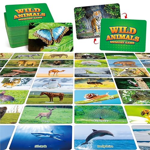 Hebayy Wildtier-Paarspiel, 80 realistische Tier-Memory-Karten für Kleinkinder, 40 Paare Gedächtniskarten, Bildungsspielzeug von Hebayy