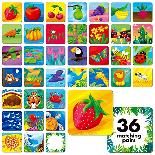 Memory Matching Spiel, 72 PCS Natur Thema Matching-Karten für Kleinkinder 36 Paare Memory-Karten für Vorschule 4 5 6 Jahre alt von Hebayy