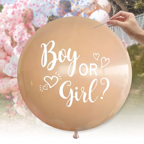 Gender Reveal Balloon XXL 91cm Boy or Girl Deko mit Rosa Blau Konfetti für Geschlechtsverkündung Baby Gender Reveal Balloon XXL 91cm Boy or Girl Deko mit Rosa Blau Konfetti für Geschlechtsverkündung Baby von Heboland