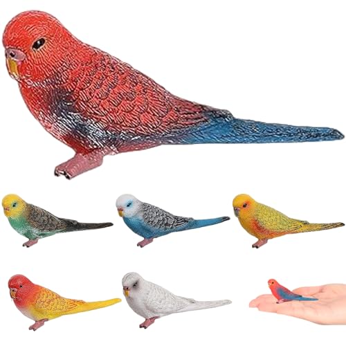 Heidouse 6pcs Vogelfiguren, realistische Wellenloser Papageienspielzeug, Kuchen -Toper -Tierfiguren Bildungslernspielzeug Geburtstagsgeschenktiere für Kinder Jungen Mädchen, Tiere Heidouse 6pcs Vogelfiguren, realistische Wellenloser Papageienspielzeug, Kuchen -Toper -Tierfiguren Bildungslernspielzeug Geburtstagsgeschenktiere für Kinder Jungen Mädchen, Tiere von Heidouse