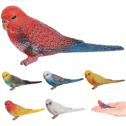 Heidouse 6pcs Vogelfiguren, realistische Wellenloser Papageienspielzeug, Kuchen -Toper -Tierfiguren Bildungslernspielzeug Geburtstagsgeschenktiere für Kinder Jungen Mädchen, Tiere Heidouse 6pcs Vogelfiguren, realistische Wellenloser Papageienspielzeug, Kuchen -Toper -Tierfiguren Bildungslernspielzeug Geburtstagsgeschenktiere für Kinder Jungen Mädchen, Tiere von Heidouse