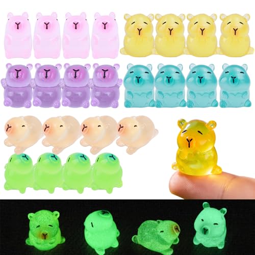 Heidouse Mini Capybara Figuren 24PCS 6 Farbe & Stil Glühen im dunklen Mini Capybara DIY Friendly Decorative Harztiere für Mikrolandschaft, Puppenhaus, Bonsai, Tiere Heidouse Mini Capybara Figuren 24PCS 6 Farbe & Stil Glühen im dunklen Mini Capybara DIY Friendly Decorative Harztiere für Mikrolandschaft, Puppenhaus, Bonsai, Tiere von Heidouse