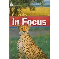 Cheetah Chase: Footprint Reading Library 6 von Heinle & Heinle