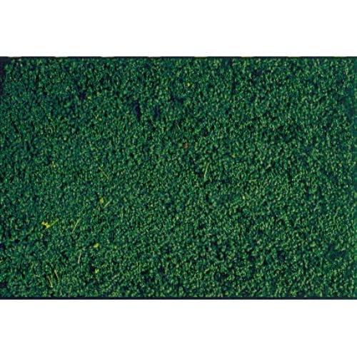 Heki 1613 Mikroflor, Farbe Kiefer Grün von HEKI