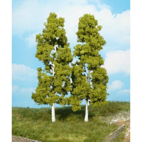 Heki 1920 Birkenbäume, 2 Stück, Höhe 18 cm, Mehrfarbig, 18 Centimeters von HEKI