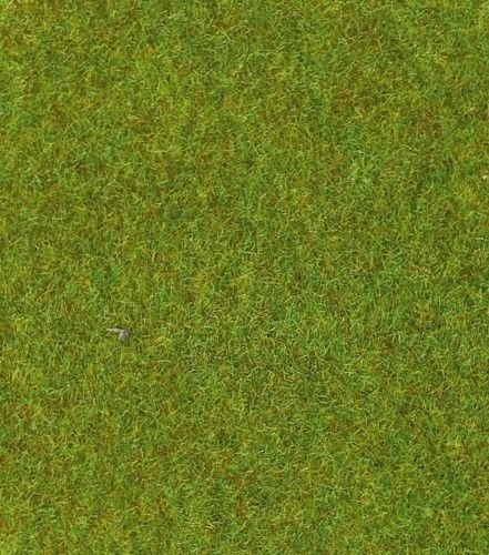 Heki Grasmatte, Größe: 100 x 200 cm, Farbe: Hellgrün von HEKI