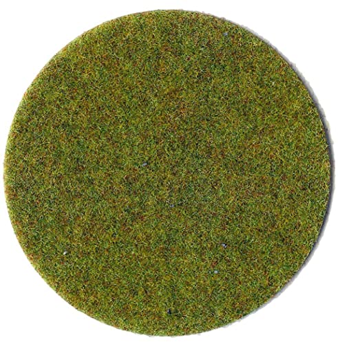 Heki 3354 Statisches Gras Sommerwiese, Höhe 0,3 cm, Mehrfarbig von HEKI