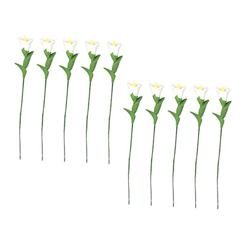 Hemobllo 10Stücke Blumenmodell DIY Simulationsblumen für Puppenhaus Dekoration Miniaturszenen und von Hemobllo