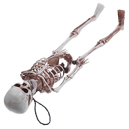 Hemobllo Bewegliches Menschliches Skelett Modell Realistische Halloween Deko für Gruselige Partys Cosplay aus Hochwertigem Vielseitig Einsetzbar für Innen von Hemobllo