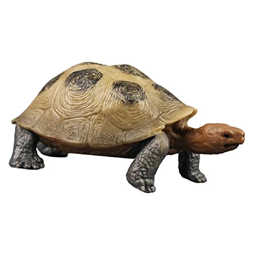 Hemobllo Landschildkröte Modellspielzeug aus Hochwertigem Kognitive Lernhilfe für Realistische Schildkrötenfiguren Deko für Partys und Fördert Hemobllo Landschildkröte Modellspielzeug aus Hochwertigem Kognitive Lernhilfe für Realistische Schildkrötenfiguren Deko für Partys und Fördert von Hemobllo