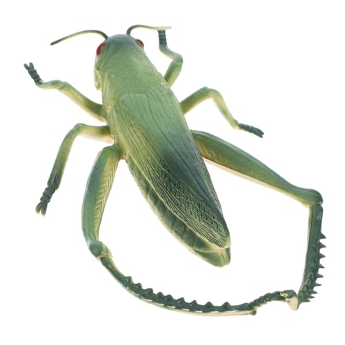Hemobllo Reptilienspielzeug Fehler für gefälschte Cricket-Requisiten Cricket- für realistisches insektenspielzeug Lernspielzeug für Insekten Mini-Tierfiguren PVC Grün Hemobllo Reptilienspielzeug Fehler für gefälschte Cricket-Requisiten Cricket- für realistisches insektenspielzeug Lernspielzeug für Insekten Mini-Tierfiguren PVC Grün von Hemobllo