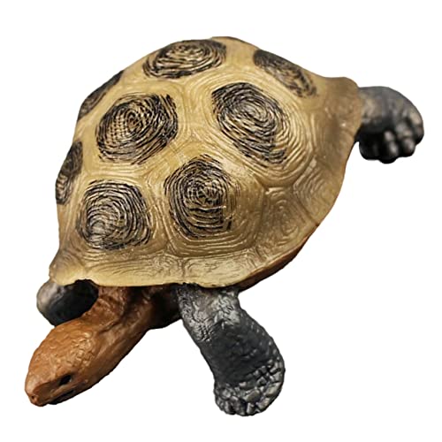 Hemobllo Schildkrötenmodell aus Realistisches Landschildkröten Ornament für Kreative Spielideen Fördert die Tiererkennung und Vorstellungskraft von Kindern für Hemobllo Schildkrötenmodell aus Realistisches Landschildkröten Ornament für Kreative Spielideen Fördert die Tiererkennung und Vorstellungskraft von Kindern für von Hemobllo