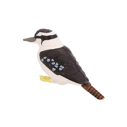Hemobllo Simulation Vogelmodell Tiermodell realistisches Vogelmodell Vogelimitationsmodell Simulationsvogelschmuck lebensechtes Vogelmodell Tierfigur Plastik Hemobllo Simulation Vogelmodell Tiermodell realistisches Vogelmodell Vogelimitationsmodell Simulationsvogelschmuck lebensechtes Vogelmodell Tierfigur Plastik von Hemobllo