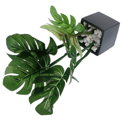Hemobllo Topfpflanze für Puppenhaus Künstliche Bonsai Dekoration Kompakte Grüne Pflanze im Topf Accessoire für Miniaturgärten und Puppenstuben Realistische Hemobllo Topfpflanze für Puppenhaus Künstliche Bonsai Dekoration Kompakte Grüne Pflanze im Topf Accessoire für Miniaturgärten und Puppenstuben Realistische von Hemobllo