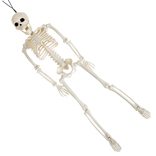 Hemobllo Verstellbares Skelett Halloween Dekoration mit Realistischen Details für Gruselige Partys Flexible Posen für Kreative Gestaltung für Gelegenheiten Wie Hemobllo Verstellbares Skelett Halloween Dekoration mit Realistischen Details für Gruselige Partys Flexible Posen für Kreative Gestaltung für Gelegenheiten Wie von Hemobllo