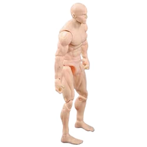 Hemore Actionfigur Zeichnungsmodelle, 4,1 -Zoll -PVC -Blind -Action -Figurenkörper, potenbares menschliches Mannequin -Körper für Xhibition, Spiel, Modellierung, Szenenspiel (Nacktfarbe, männlich) von Hemore