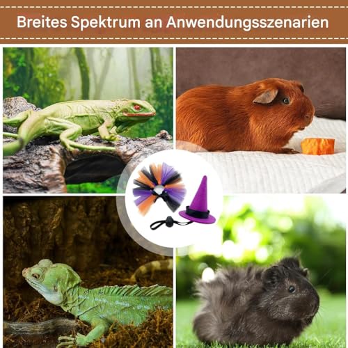 Hemousy Bartagamen Kostüme - Halloween Bartagamen Hexenkostüm - Reptilien Amphibien Kleintier Vogel Halloween Zubehör für Schildkröte Igel Hemousy Bartagamen Kostüme - Halloween Bartagamen Hexenkostüm - Reptilien Amphibien Kleintier Vogel Halloween Zubehör für Schildkröte Igel von Hemousy