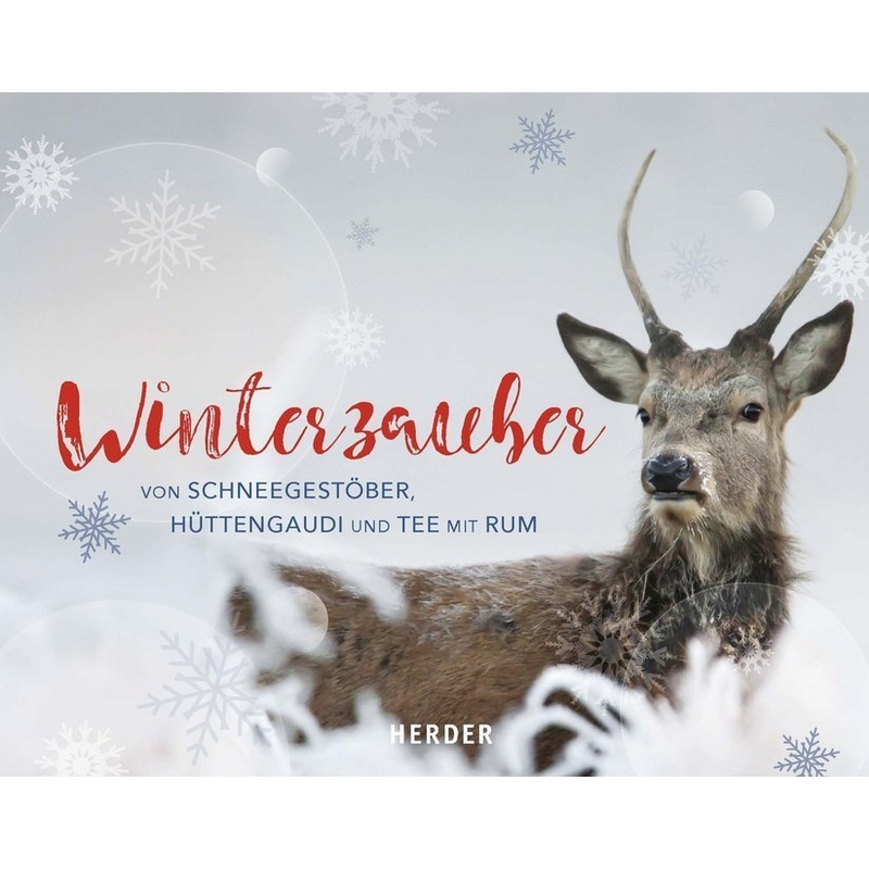 Winterzauber von Herder, Freiburg