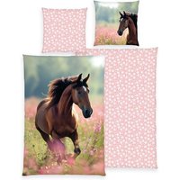 Herding 4424211050 - Young Collection Bettwäsche Horse Love, Baumwolle/Renforcé, 135x200/80x80cm Herding 4424211050 - Young Collection Bettwäsche Horse Love, Baumwolle/Renforcé, 135x200/80x80cm von Herding