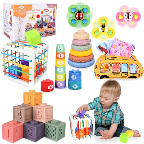 Herenear 6 in 1 Montessori Spielzeug Baby, Spielzeug Baby ab 6 Monate, Motorikspielzeug, Stapelspiel Bausteine, Tissue Box, Montessori Spielzeug ab 1 Jahr, Geschenk für Junge Mädchen von Herenear