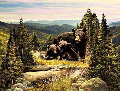 Heritage Puzzle Enchanted by Greg Giordano - 550 Teile - 61 x 45,7 cm Fertige Größe von Heritage Puzzle Inc.