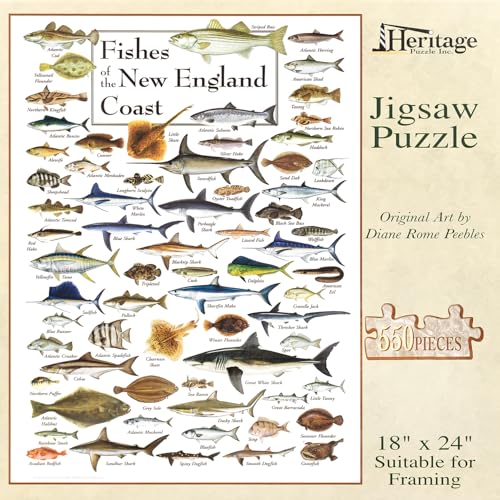 Heritage Puzzle – Fische der Küste Neuenglands von Diane Peebles – 550 Teile Puzzles für Erwachsene – Ozean-Wildtier-Puzzles – Küstenszenen-Puzzle – 45,7 x 61 cm Fertige Größe von Heritage Puzzle Inc.
