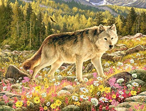 Heritage Puzzle Lone Wolf von Greg Giordano – 550 Teile – 61 x 45,7 cm Fertige Größe Heritage Puzzle Lone Wolf von Greg Giordano – 550 Teile – 61 x 45,7 cm Fertige Größe von Heritage Puzzle Inc.